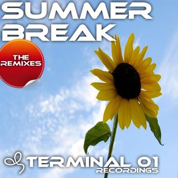 Various Artists - Summerbreak The Remixes
