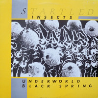 Startled Insects - Underworld