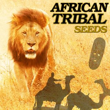 Various Artists - African Tribal Seeds
