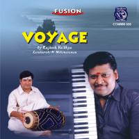 Rajesh Vaidhya - Voyage