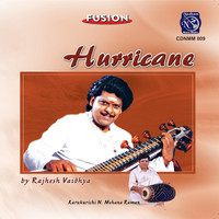 Rajesh Vaidhya - Hurricane
