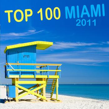 Various Artists - Top 100 Miami 2011 (Explicit)