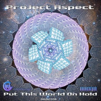 Project Aspect - Put This World On Hold LP