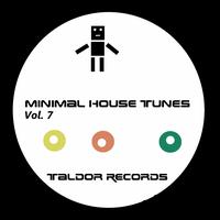 Various Artists - Minimal House Tunes, Vol. 7