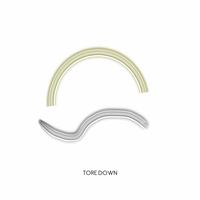 Decoder - Tore Down