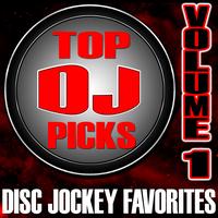 The Hit Nation - Top DJ Picks Volume 1 - Disc Jockey Favorites