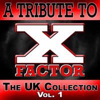 The Hit Nation - A Tribute To X Factor - The UK Collection Vol. 1