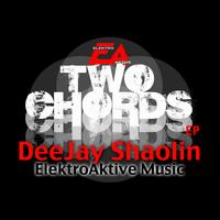 DJ Shaolin - Two Chords EP