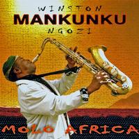 Winston Mankunku Ngozi - Molo Africa