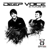 Deep Voice - In Future