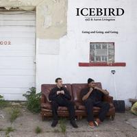 Icebird - Going and Going. and Going. (Feat. rjd2 & Aaron Livingston)