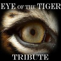 U.S.A. Classics - EYE Of The TIGER    [Survivor Tribute]