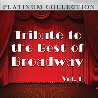 Platinum Collection Band - Tribute to the Best of Broadway: Vol. 1