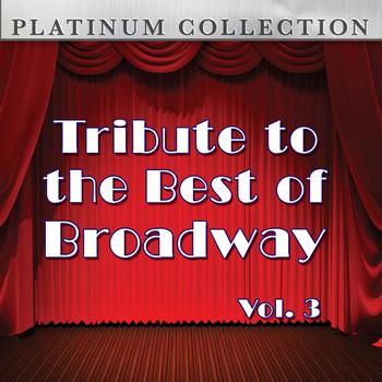 Platinum Collection Band - Tribute to the Best of Broadway: Vol. 3