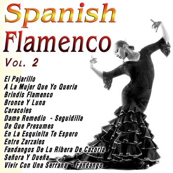 Various Artists - Spanish Flamenco  Vol. 2