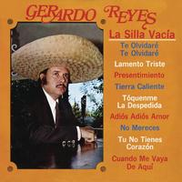 Gerardo Reyes - La Silla Vacia