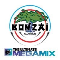 Various Artists - The Ultimate Megamix