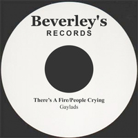 Gaylads - There's A Fire/People Crying