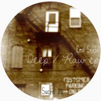 Emil Seidel - Raw / Deep Ep