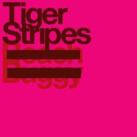 Tiger Stripes - Beach Buggy