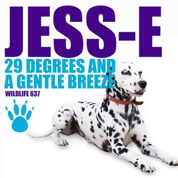 Jess-E - 29 Degrees And A Gentle Breeze