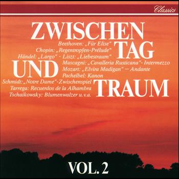 Various Artists - Zwischen Tag Und Traum Vol.2