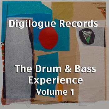 Various Artists - The Drum & Bass Experience Volume 1