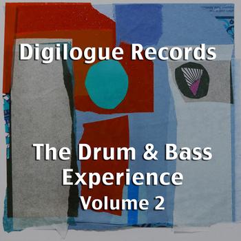 Various Artists - The Drum & Bass Experience Volume 2