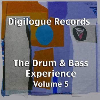 Various Artists - The Drum & Bass Experience Volume 5