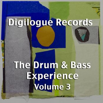 Various Artists - The Drum & Bass Experience Volume 3