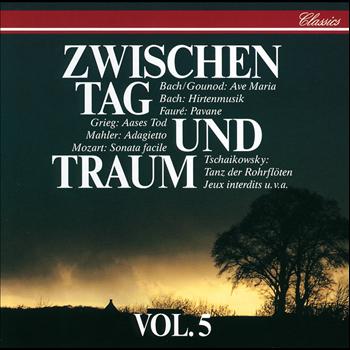 Various Artists - Zwischen Tag Und Traum Vol.5