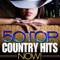Modern Country Heroes - 50 Top Country Hits Now!