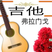 Various flamenco guitarrist - 吉他 弗拉门戈