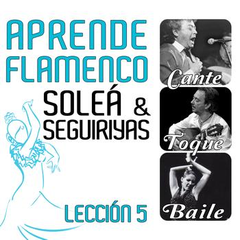 José Galván - Aprende Flamenco. Soleá y Seguiriyas. Lección 5