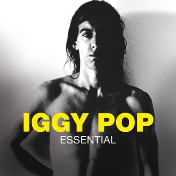 Iggy Pop - Essential (Explicit)