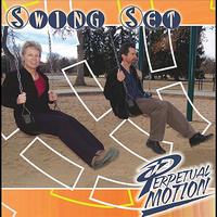 Perpetual Motion - Swing Set