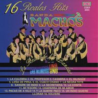 Banda Machos - 16 Reales hits