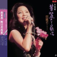 鄧麗君 - 華麗熱唱 (中國語)