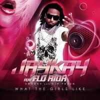 Jaykay feat. Flo Rida, Smokey & Git Fresh - What The Girls Like