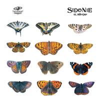 Sidonie - El Bosque