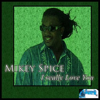 Mikey Spice - I Really Love You