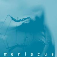 Meniscus - absence of i
