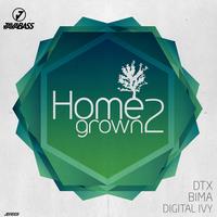 DTX - Homegrown 2