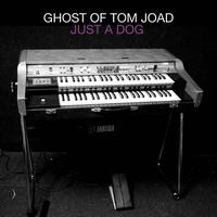 Ghost Of Tom Joad - Just A Dog