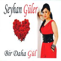 Seyhan Güler - Bir Daha Gül