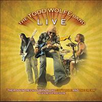 Todd Wolfe - The Todd Wolfe Band - Live