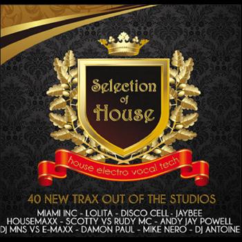 Various Artists - Selection Of House