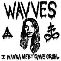 Wavves - I Wanna Meet Dave Grohl (Single)