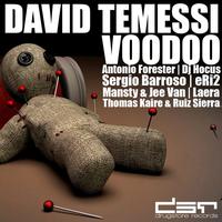 David Temessi - Voodoo EP