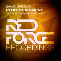 Shaun Greggan - Perfect Moment